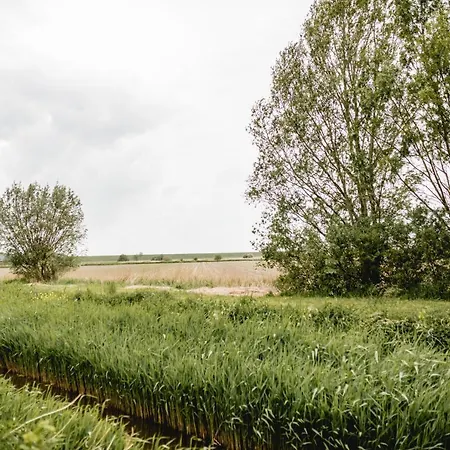 Strandperle Alexander Prázdninový dům