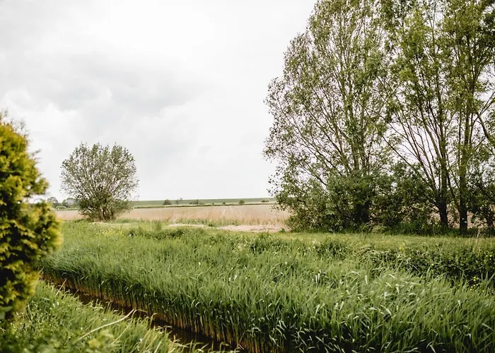 Strandperle Alexander Tatil Evi